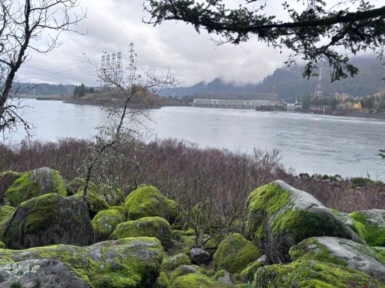 Hiking Fort Cascades Loop: Scenic Views, History, and How to Stay Safe from Poison Oak