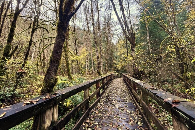 But the Wildwood Nature Loop is Old
