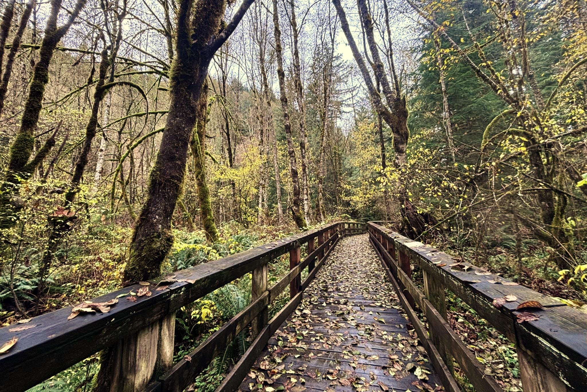 But the Wildwood Nature Loop is Old