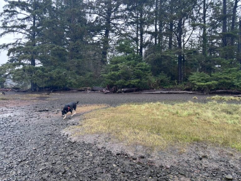 Kilchis Point Trail: Hiking to the Bay at Tillamook