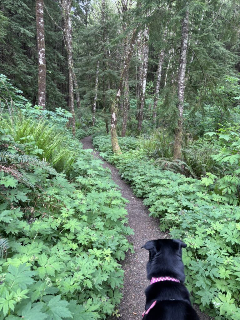 Slough to Sea Trail South