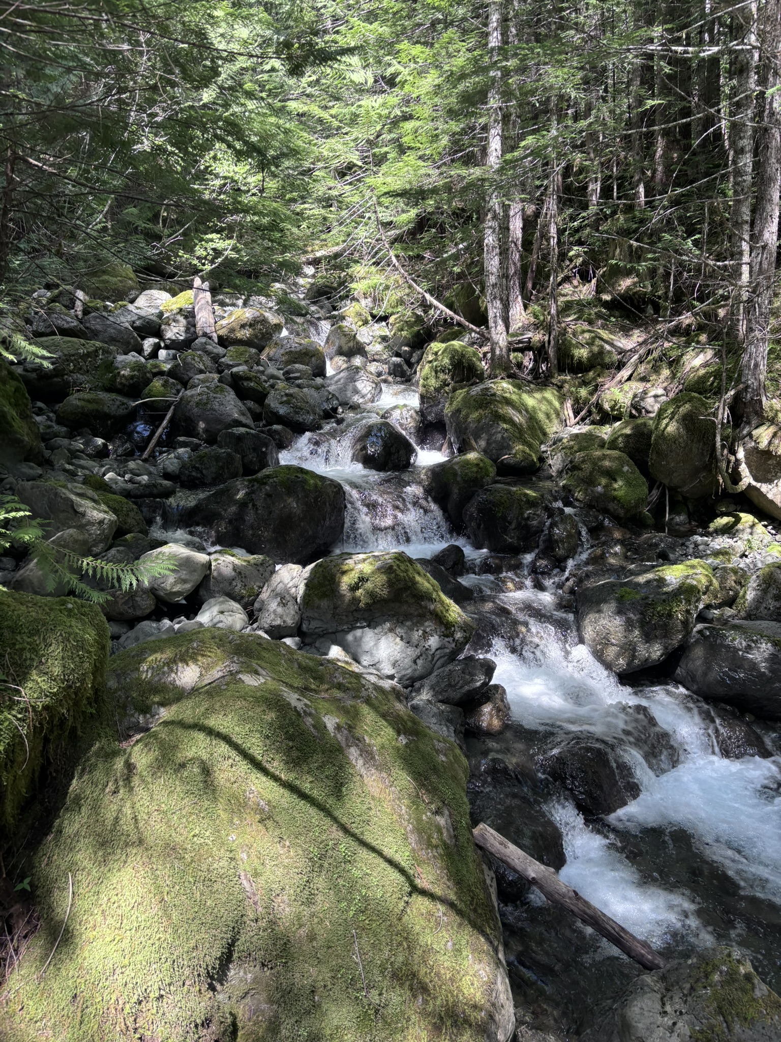 Climbing the Upper Big Creek Trail
